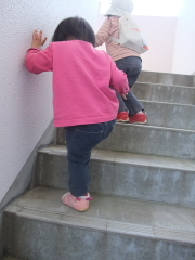 階段を上るテラ美２