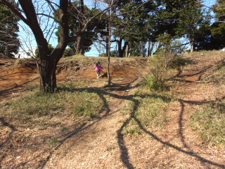 公園で遊ぶテラ美