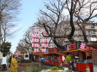 さくら祭り