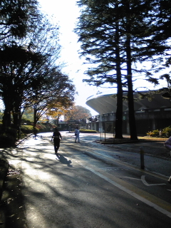 駒沢公園ジョギングコース