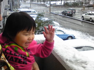 雪に喜ぶテラ美