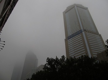 20111118_fog_s.jpg