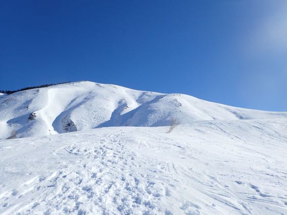 ニセ巻機山への登りが見える