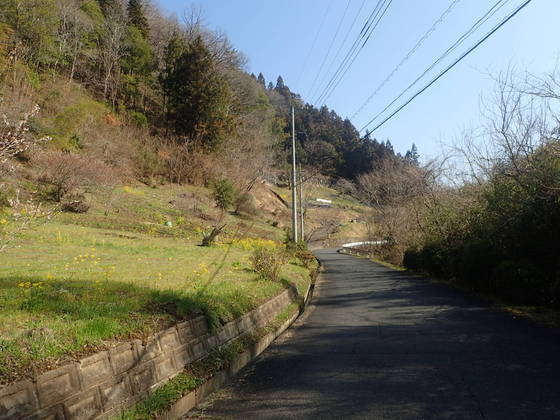 春の里山の雰囲気