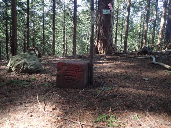 庭洞山