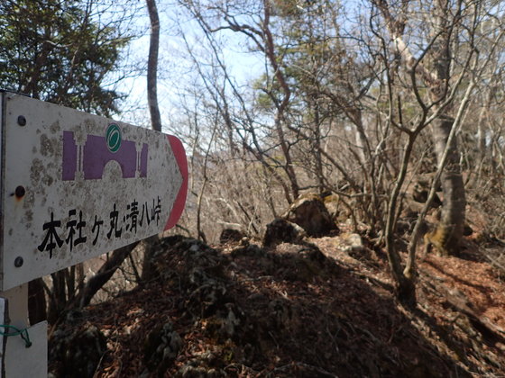 ヤセ尾根も出てくる。道標はしっかりしている