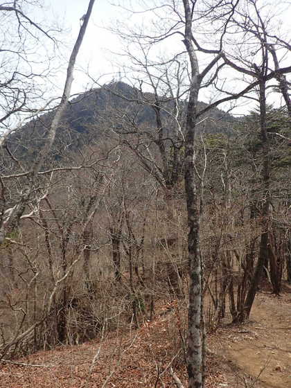 御巣鷹山のアンテナ施設が見える