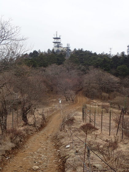 御巣鷹山から三ツ峠山へ