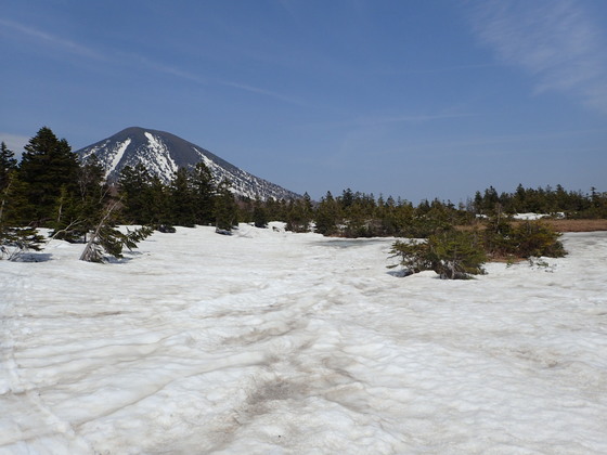 20240429八甲田大岳スキー登山 - 1 (13).JPG