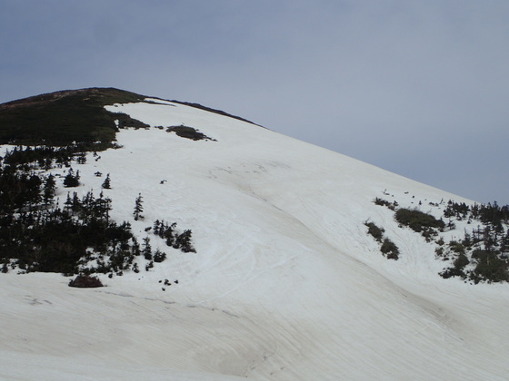 20240429八甲田大岳スキー登山 - 1 (9).JPG