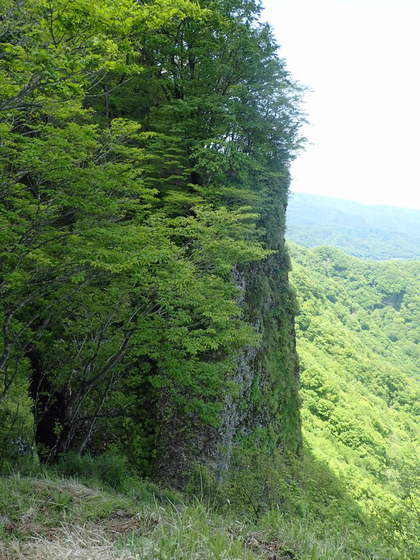 20240601荒船山艫岩の眺め断崖 - 1.JPG