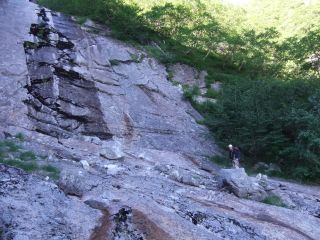 左岸の樹林帯の踏み跡へ