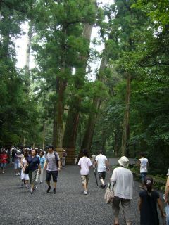 伊勢神宮内宮への参道は大木がいっぱいだ