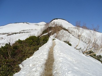 上の樺手前までは雪がなかった