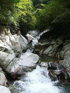 金山谷の出合