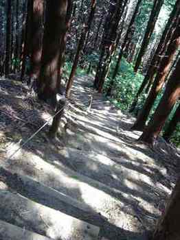 岩橋峠への下りは延々と丸太階段が続く