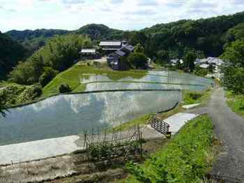 田植えが始まった平石の集落