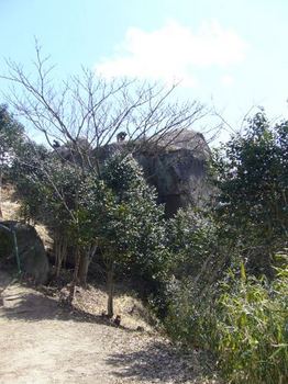 交野山頂上の岩が見えてきた