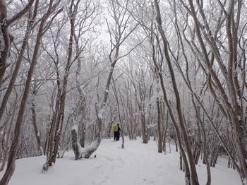 三峰山までもう少し