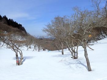 雲取峠