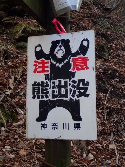 檜洞丸登山口にある熊注意の看板