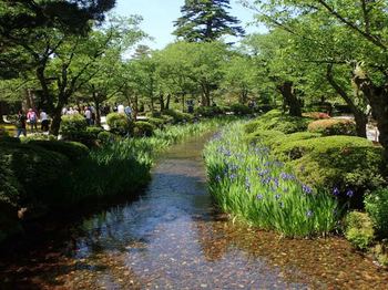 花見橋からの眺め