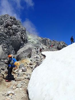 急に登山客が増えました