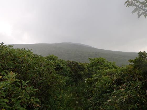 急に雨が降ってきた。山頂も霞む