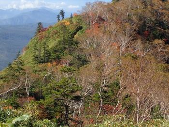 黒姫山の紅葉