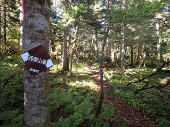 西登山道はわりと難路