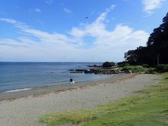 観音崎海水浴場