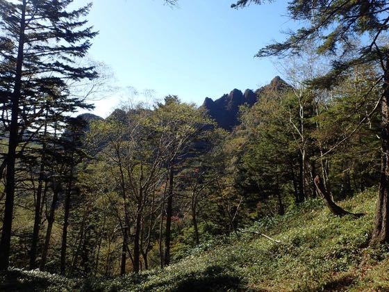 不動沢のコルから見る鋸岳