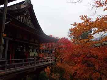 淡山神社