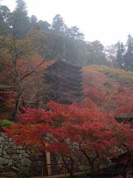 淡山神社