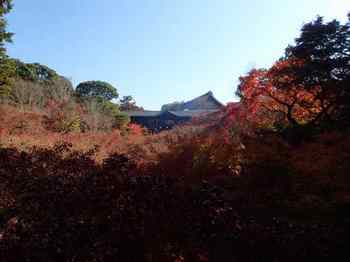 東福寺の通天橋