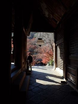 長谷寺本堂の廊下から