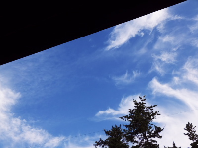 DSCF1988.jpg12.jpg