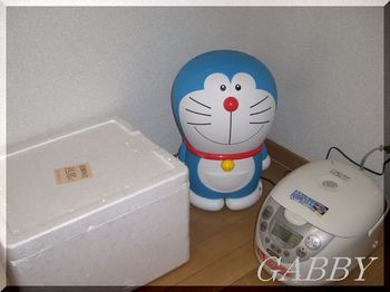 ドラえもん温冷庫と食材入れ発泡スチロール箱.JPG