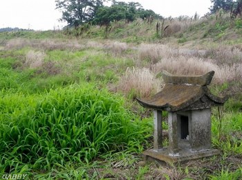 田んぼの祠