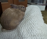 斜め