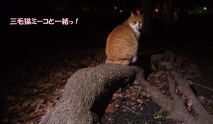 20181209park01F_w769.jpg
