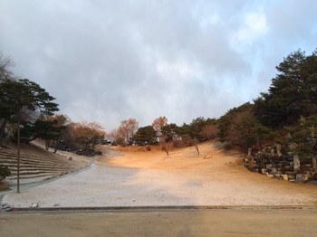 摂理の便り_月明洞_雪