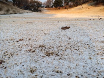 摂理の便り_月明洞_雪