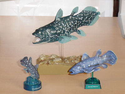 BUZZ_COELACANTH-3.jpg