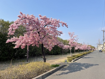 東海市　製鉄公園近く
