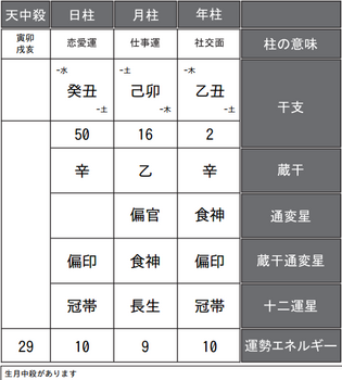 マイコさんの四柱推命式