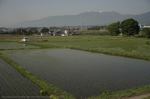 DSC02304.jpg