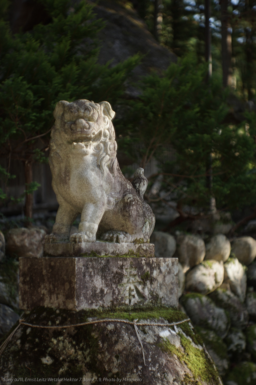 DSC03285.jpg