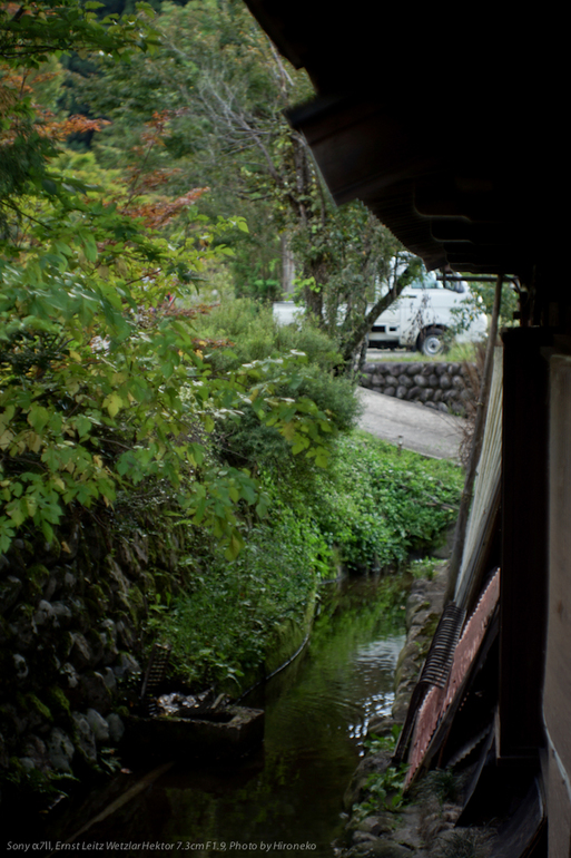 DSC03346.jpg