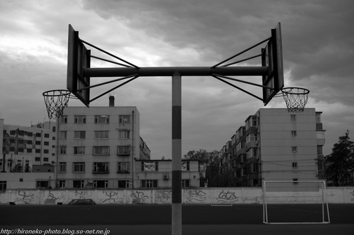 L1000678.jpg